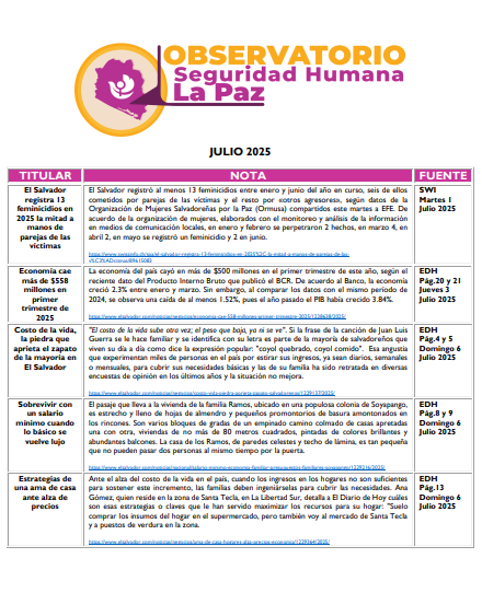 Lee más sobre el artículo Observatorio Monitoreo – Julio – 2025