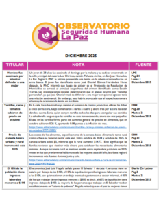 Lee más sobre el artículo Observatorio Monitoreo – Diciembre – 2025